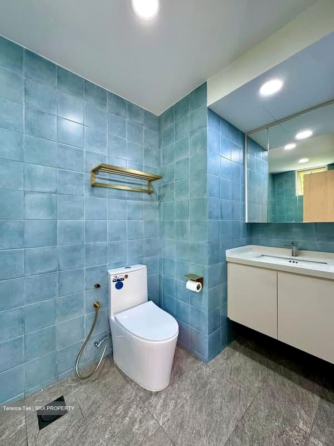 St. Patricks Green (D15), Apartment #580818281